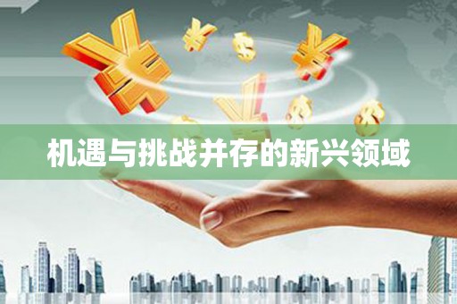 大英机遇与挑战并存的新兴领域