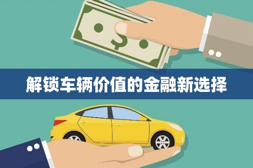 安仁解锁车辆价值的金融新选择