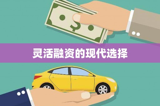 颍州灵活融资的现代选择