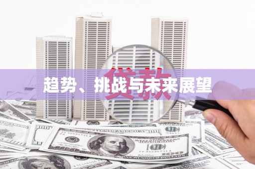 琼结趋势、挑战与未来展望