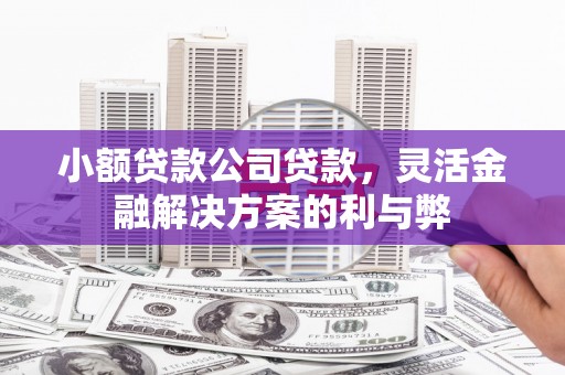 贵德小额贷款公司贷款，灵活金融解决方案的利与弊
