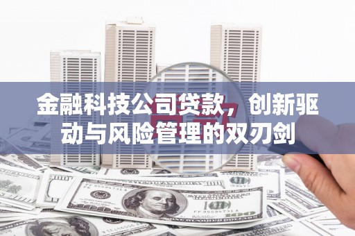左营金融科技公司贷款，创新驱动与风险管理的双刃剑